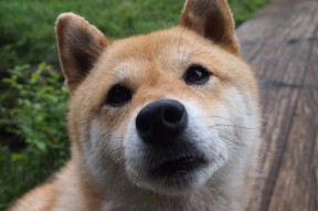 Kaiyun(中国)开云-《虚拟比赛新体验：融合增强现实技术的电竞未来》，虚拟化电子竞技哪些